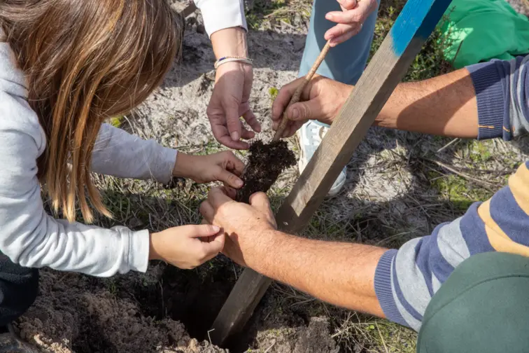 Seixal celebra Dia da Árvore e das Florestas com quatro dias de atividades e plantação de 400 exemplares 